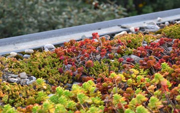 the cost of Worsham green roof installation